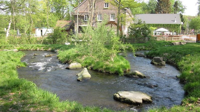 Fish Pass Luettelforster Mill