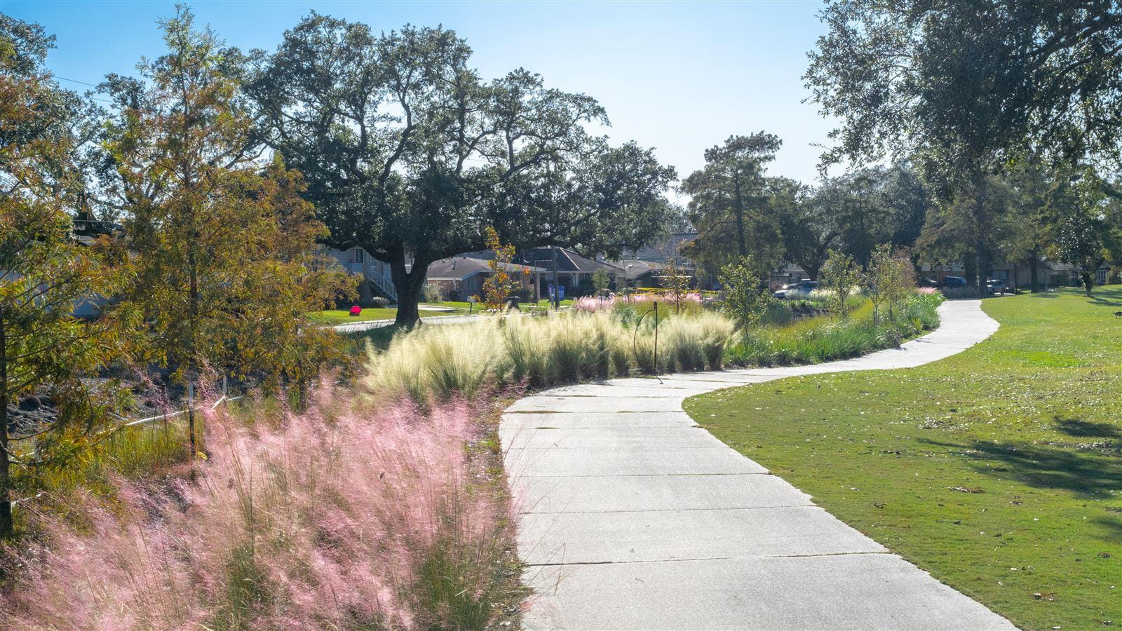 Green Corridor showing wild flowers next to sidewalk