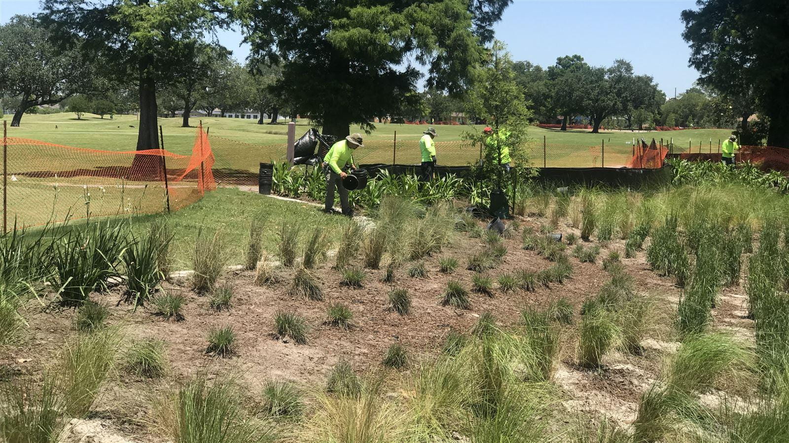Workers planting trees