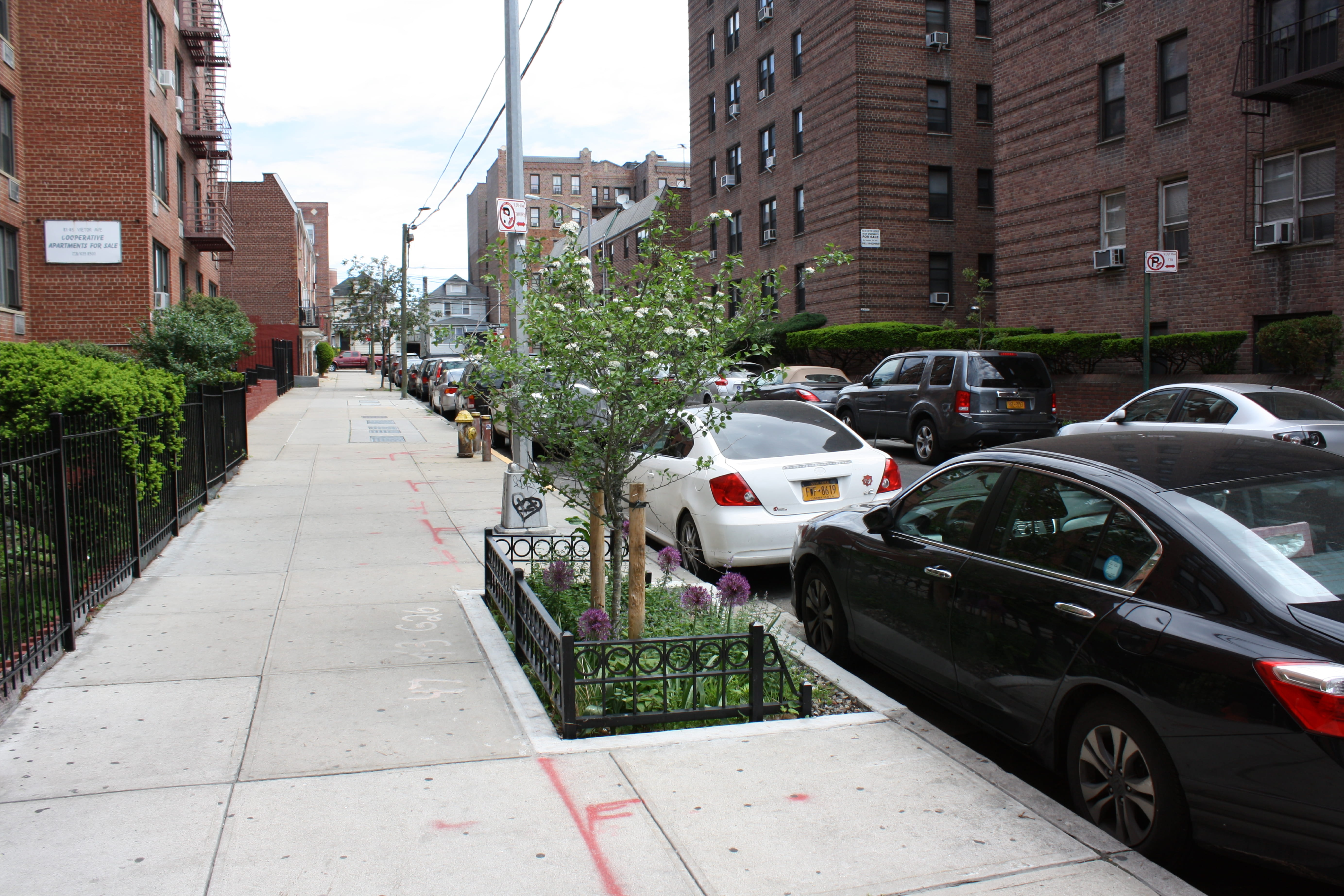NYC green infrastructure rain garden