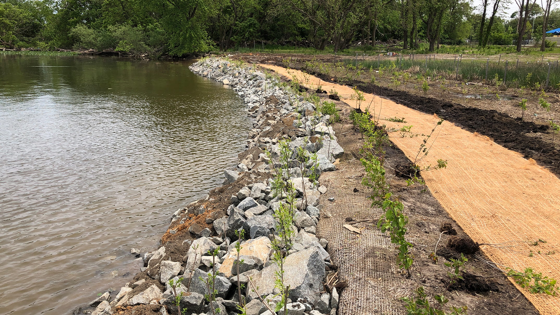 Harrison Ave Solution