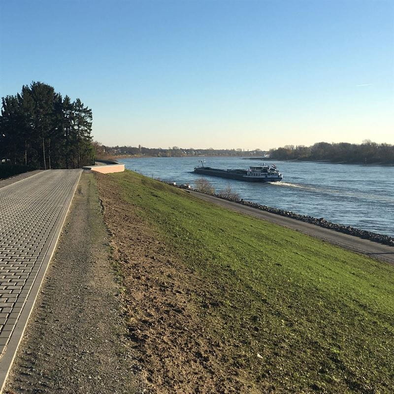 Muendelheimer Rheinbogen Image