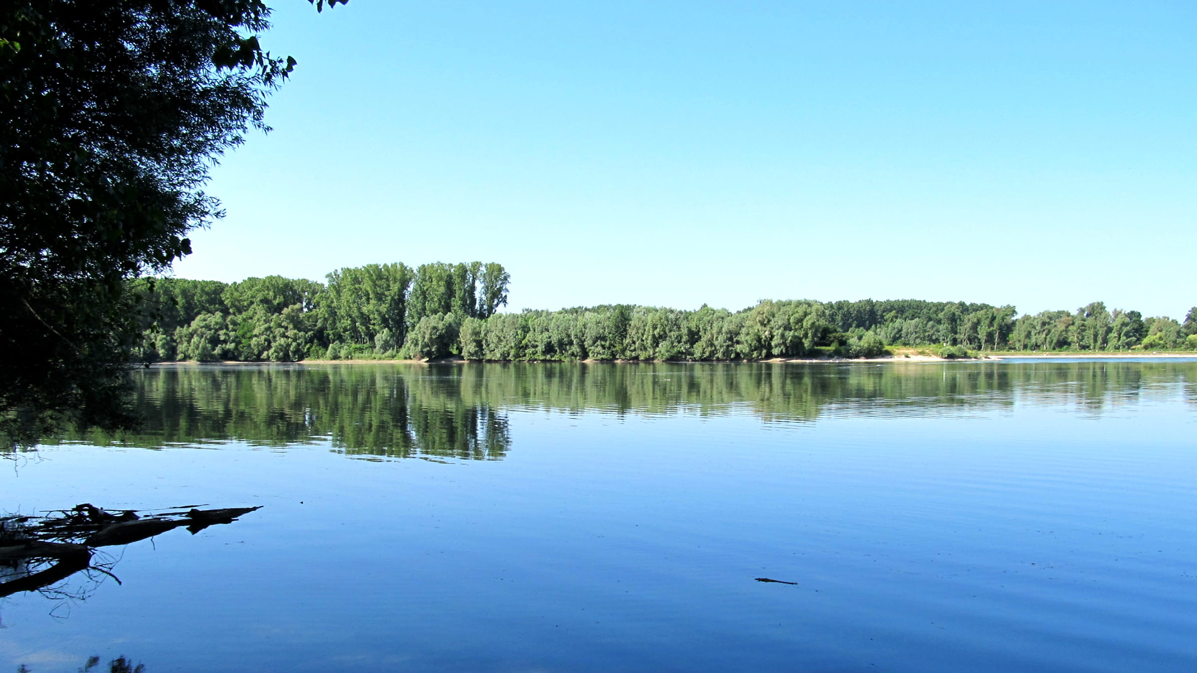 Polder Elisabethenwoerth Image