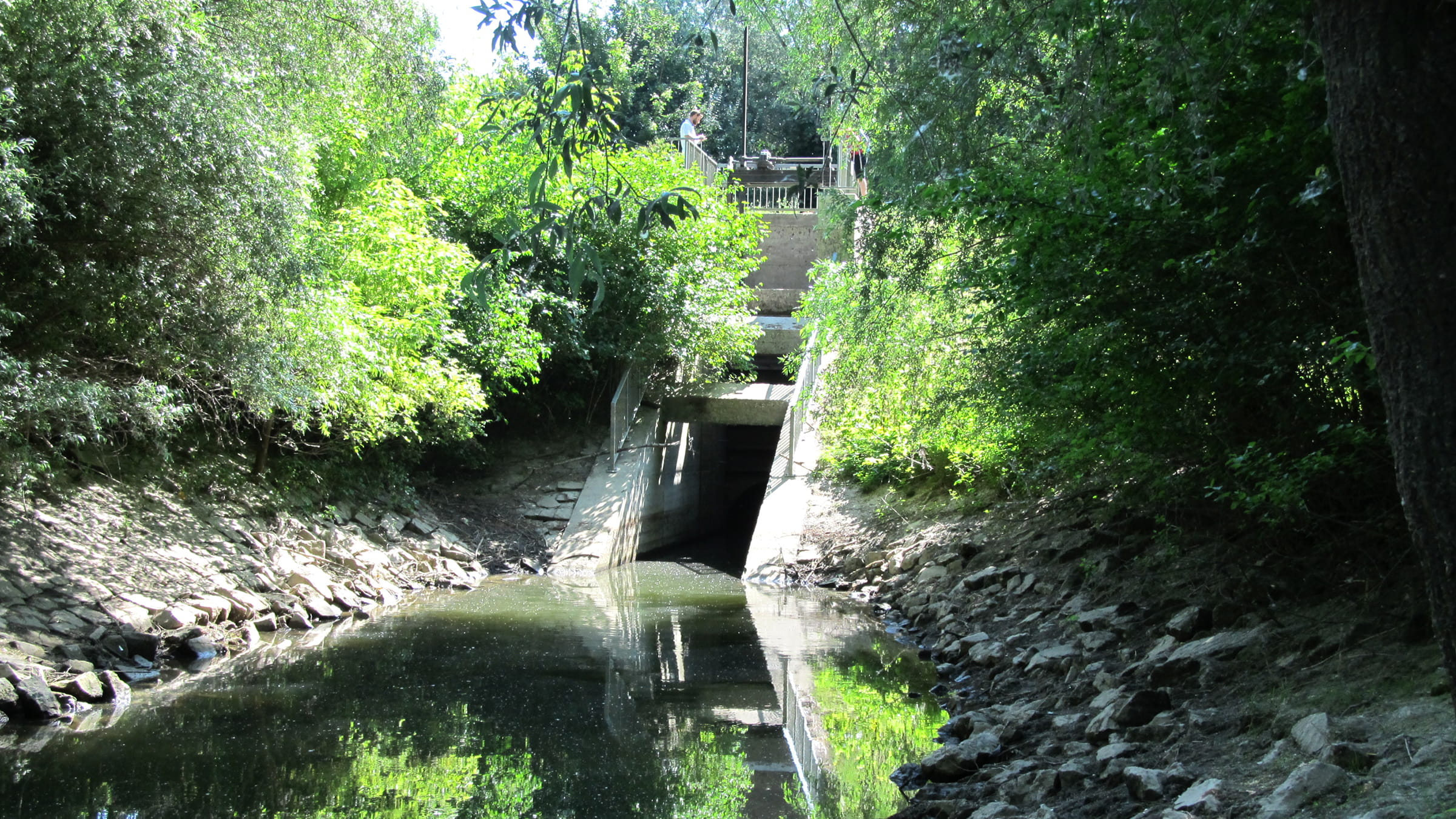 Polder Elisabethenwoerth Image