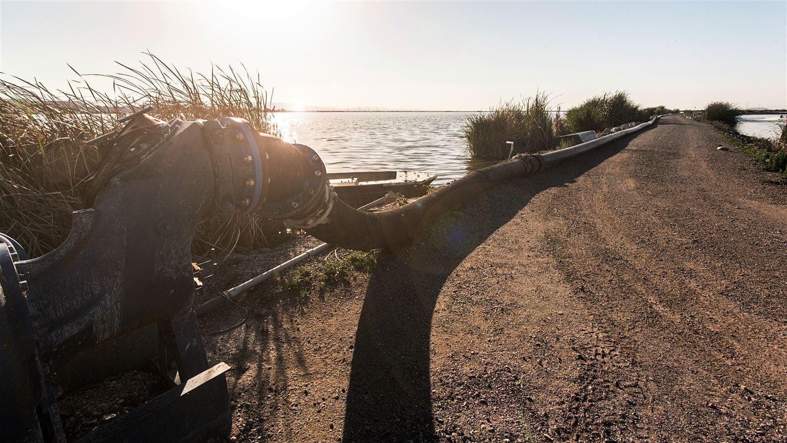 pond recirculation line