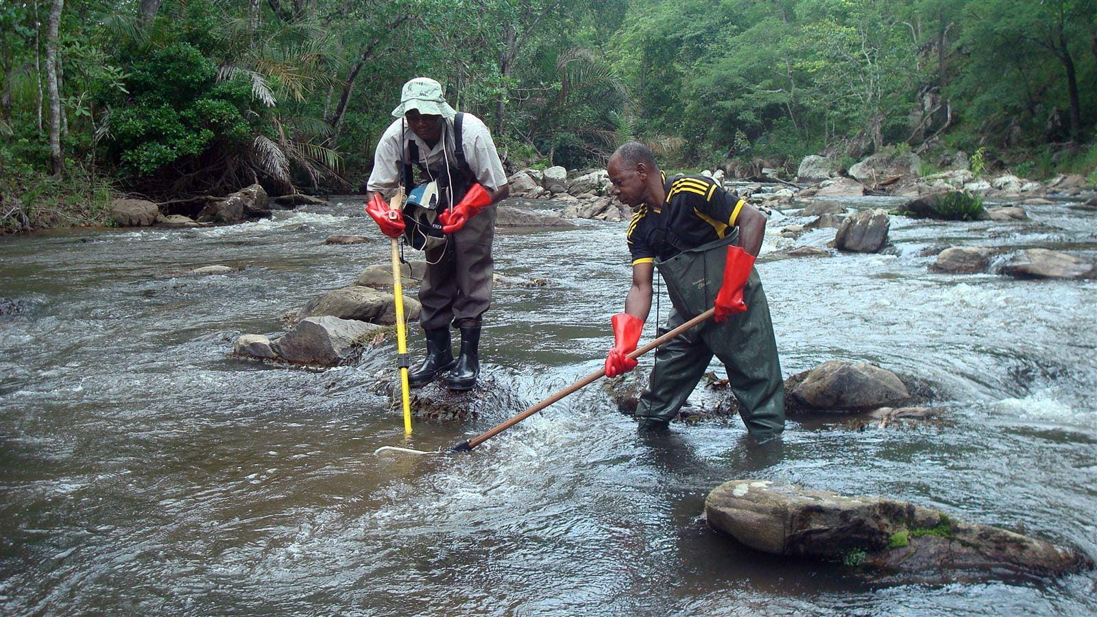 USAID Tansania IRRIP